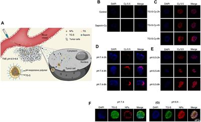 Industrialization’s eye view on theranostic nanomedicine